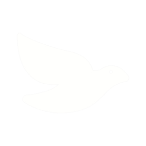 ptak bialy bez tła